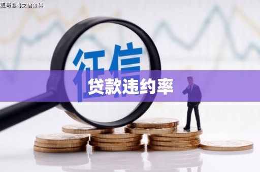 龙安贷款违约率