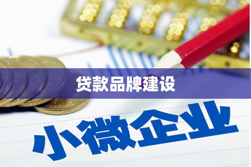 龙安贷款品牌建设