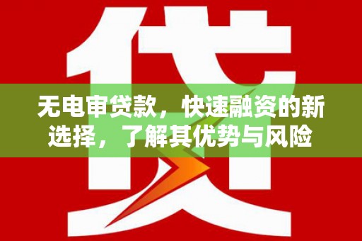 龙安无电审贷款，快速融资的新选择，了解其优势与风险