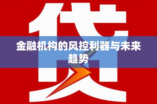 龙安金融机构的风控利器与未来趋势