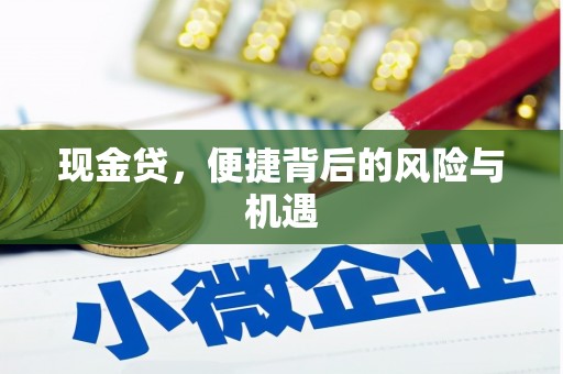 龙安现金贷，便捷背后的风险与机遇