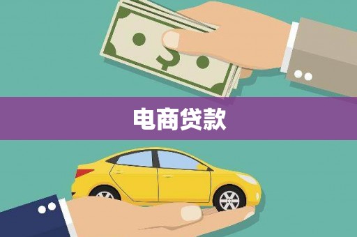 龙安电商贷款