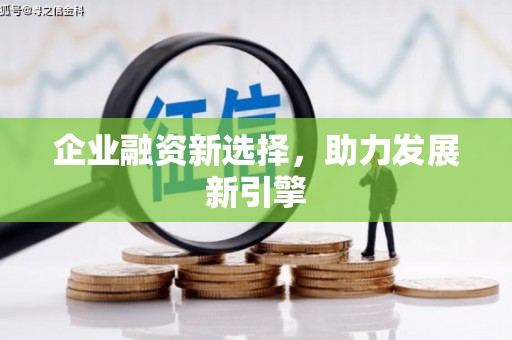龙安企业融资新选择，助力发展新引擎