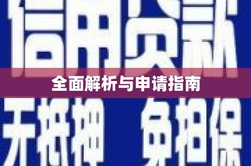 龙安全面解析与申请指南