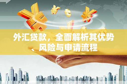 龙安外汇贷款，全面解析其优势、风险与申请流程