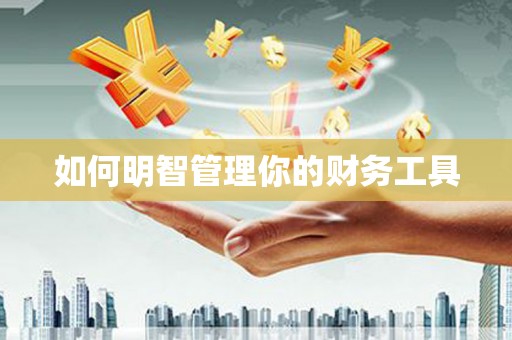 龙安如何明智管理你的财务工具