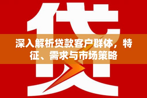 龙安深入解析贷款客户群体，特征、需求与市场策略