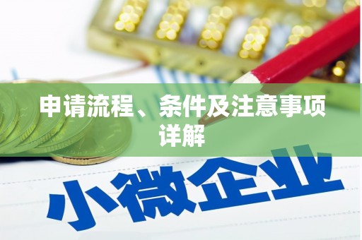 龙安申请流程、条件及注意事项详解