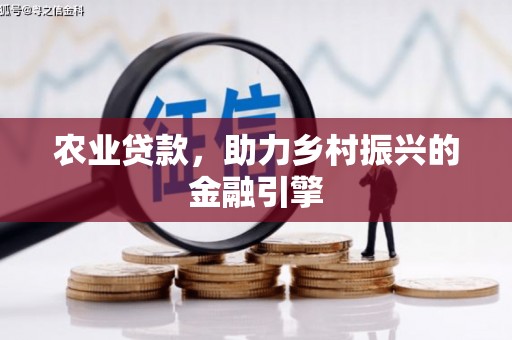 龙安农业贷款，助力乡村振兴的金融引擎