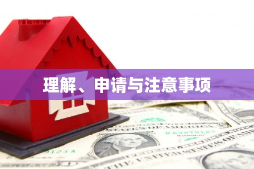 龙安理解、申请与注意事项