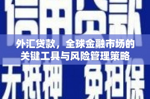 龙安外汇贷款，全球金融市场的关键工具与风险管理策略