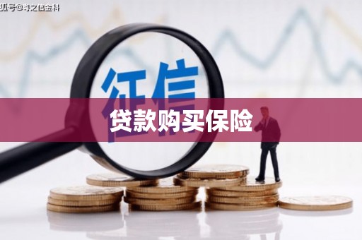 龙安贷款购买保险