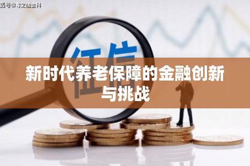 龙安新时代养老保障的金融创新与挑战