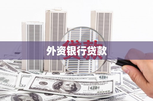 龙安外资银行贷款