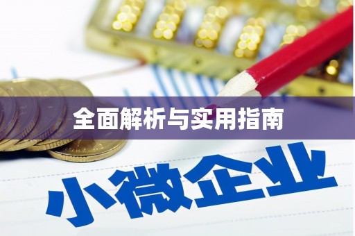 龙安全面解析与实用指南