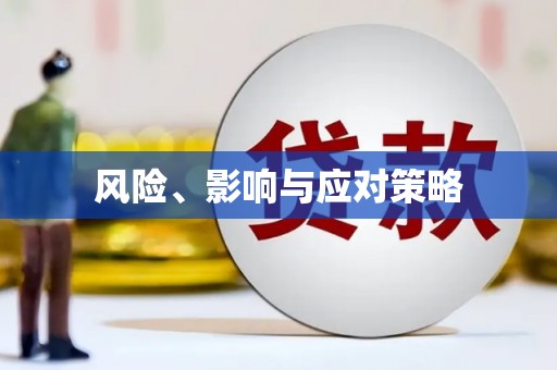 龙安风险、影响与应对策略
