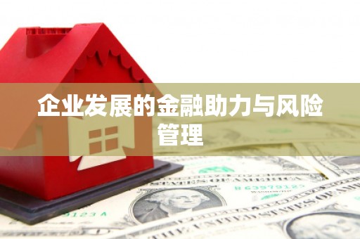 龙安企业发展的金融助力与风险管理
