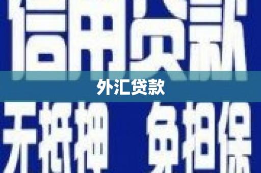 龙安外汇贷款