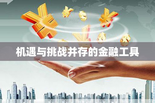 龙安机遇与挑战并存的金融工具