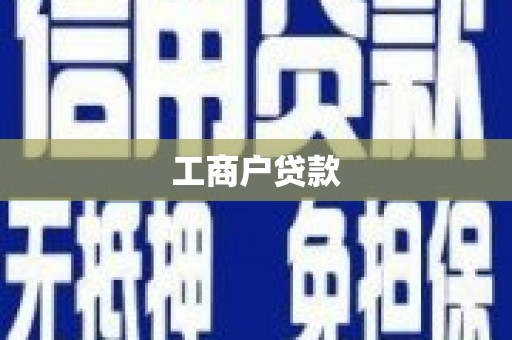 龙安工商户贷款
