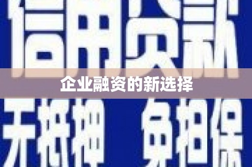 龙安企业融资的新选择