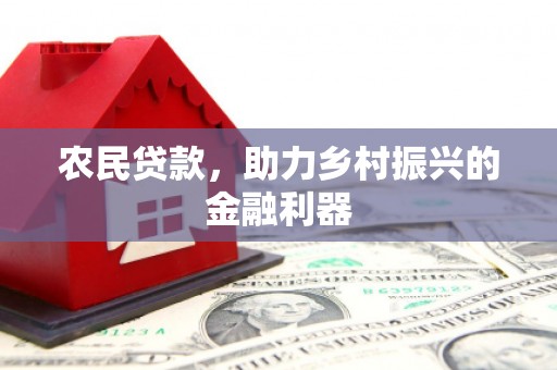 龙安农民贷款，助力乡村振兴的金融利器