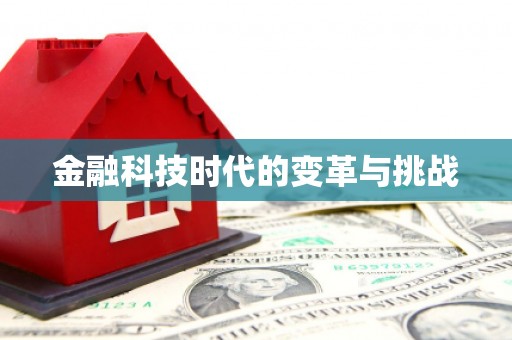 龙安金融科技时代的变革与挑战