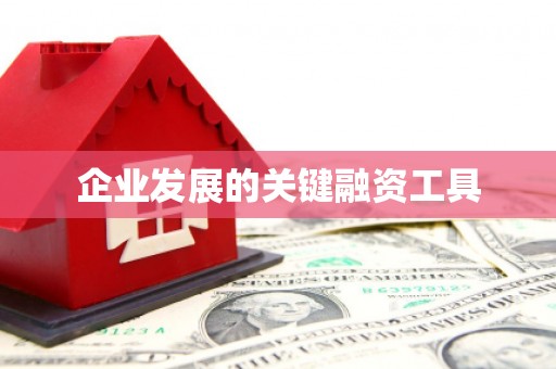 龙安企业发展的关键融资工具