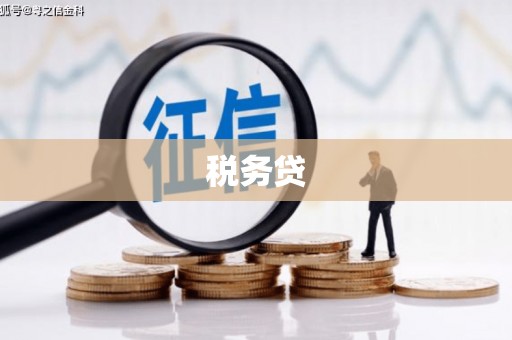 龙安税务贷