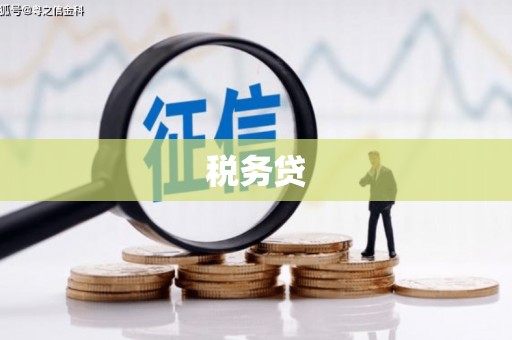 龙安税务贷