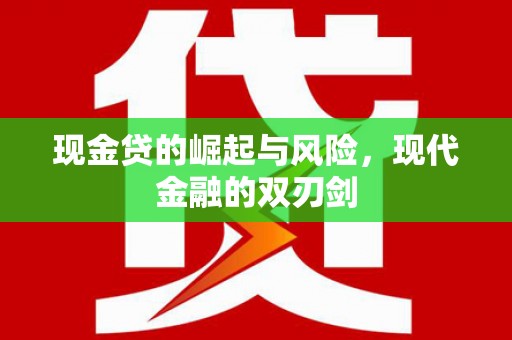 龙安现金贷的崛起与风险，现代金融的双刃剑
