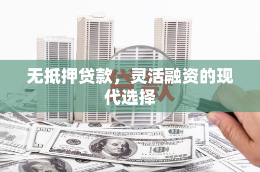 龙安无抵押贷款，灵活融资的现代选择