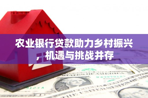 龙安农业银行贷款助力乡村振兴，机遇与挑战并存