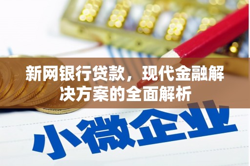 龙安新网银行贷款，现代金融解决方案的全面解析