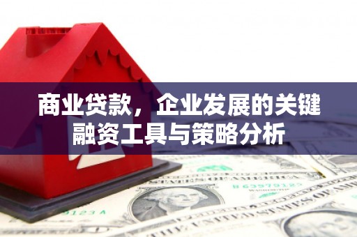 龙安商业贷款，企业发展的关键融资工具与策略分析