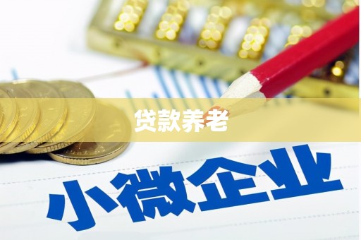 龙安贷款养老