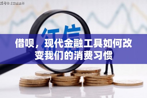 龙安借呗，现代金融工具如何改变我们的消费习惯