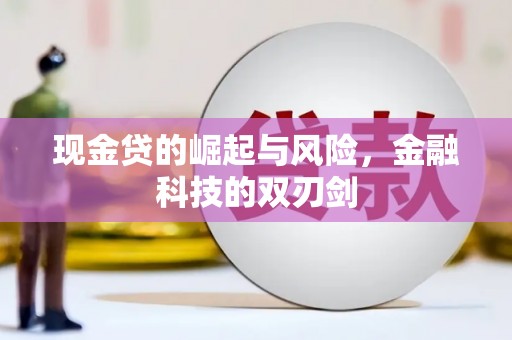 龙安现金贷的崛起与风险，金融科技的双刃剑
