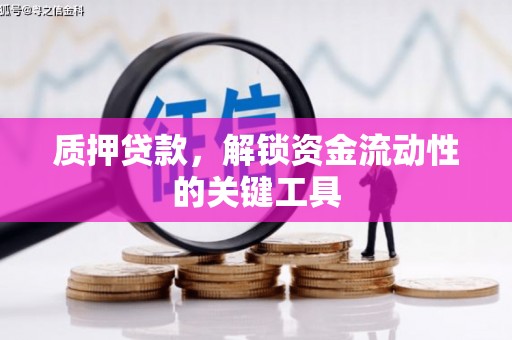龙安质押贷款，解锁资金流动性的关键工具