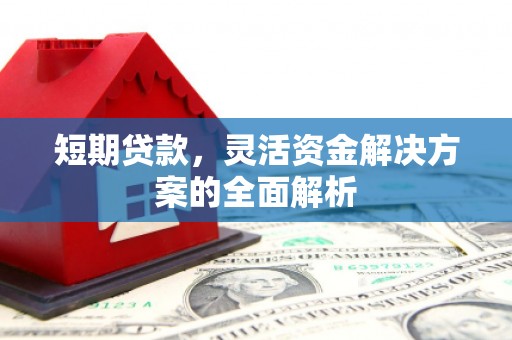 龙安短期贷款，灵活资金解决方案的全面解析