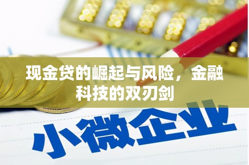 龙安现金贷的崛起与风险，金融科技的双刃剑