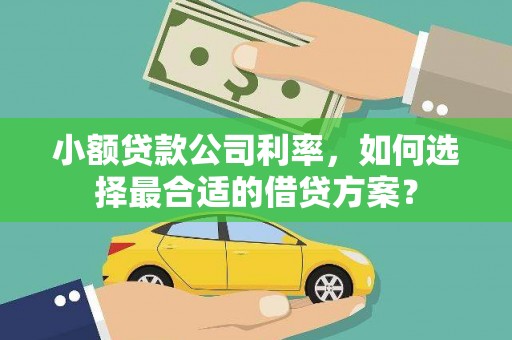 龙安小额贷款公司利率，如何选择最合适的借贷方案？