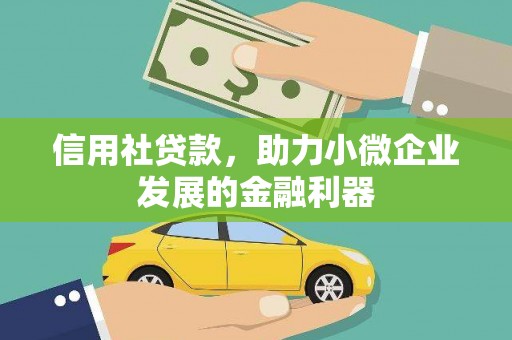 龙安信用社贷款，助力小微企业发展的金融利器