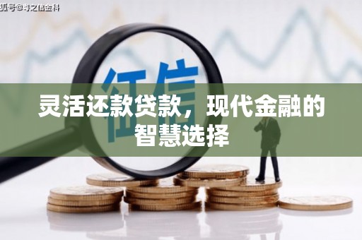 龙安灵活还款贷款，现代金融的智慧选择