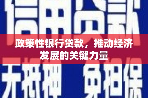龙安政策性银行贷款，推动经济发展的关键力量