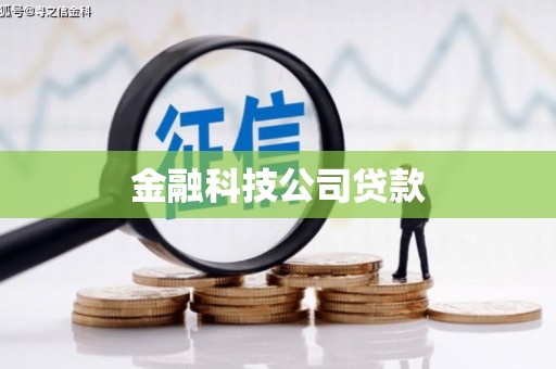 龙安金融科技公司贷款