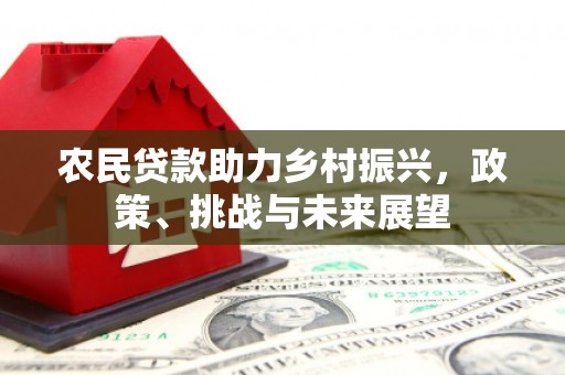 龙安农民贷款助力乡村振兴，政策、挑战与未来展望