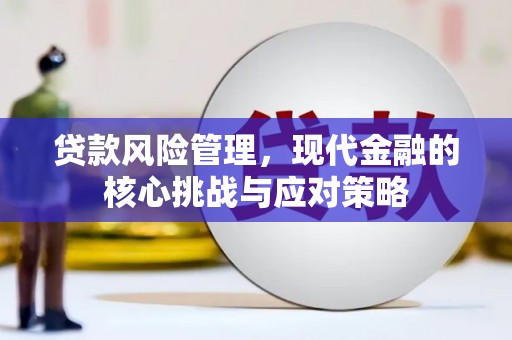龙安贷款风险管理，现代金融的核心挑战与应对策略