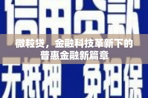 龙安微粒贷，金融科技革新下的普惠金融新篇章