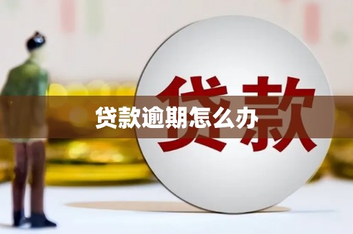 龙安贷款逾期怎么办